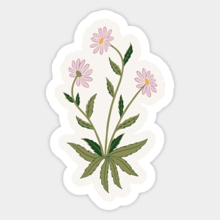 Pink daisy flower Sticker